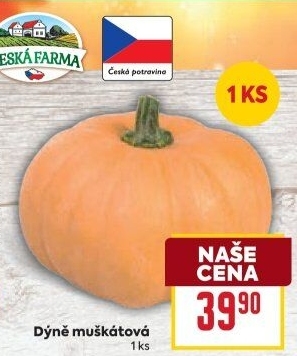 Dýně muškátová Česká farma