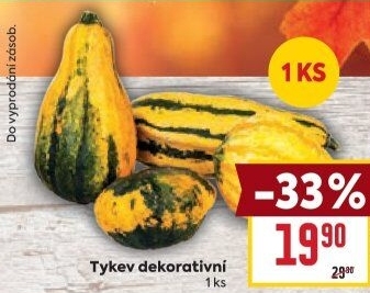 Okrasná dýně