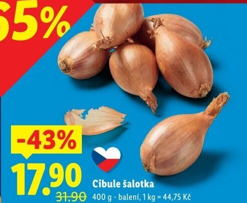 Cibule šalotka