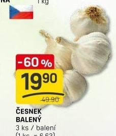 Česnek