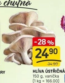 Hlíva ústřičná