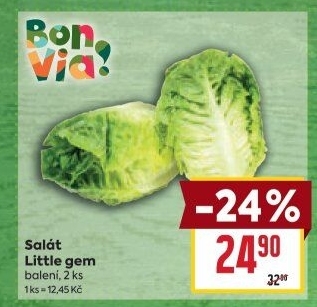Salát little gem Billa Bonvia
