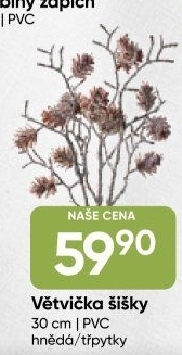 Dekorativní větve