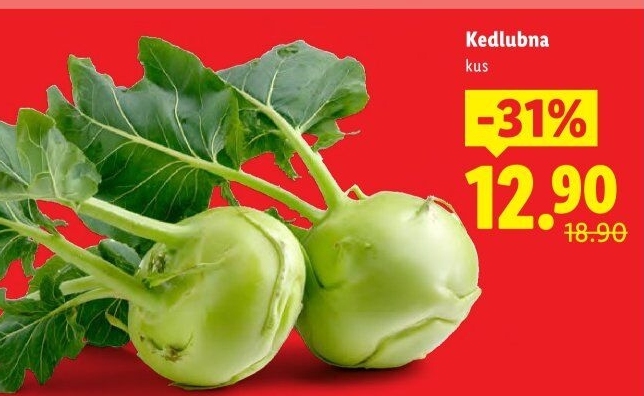 Kedlubna bílá