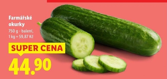 Okurka salátová - hadovka
