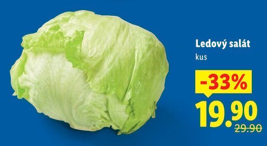 Salát ledový