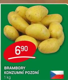 Brambory konzumní pozdní