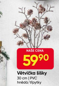 Dekorativní větve