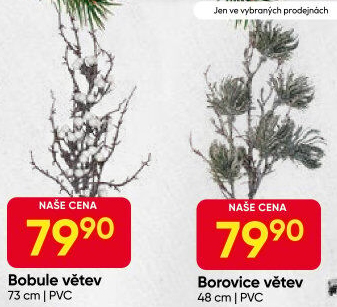 Dekorativní větve