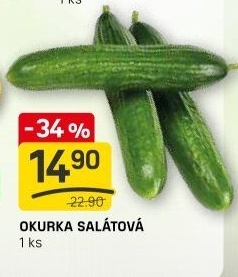 Okurka salátová - hadovka