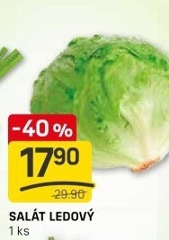 Salát ledový