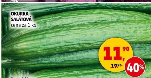 Okurka salátová - hadovka