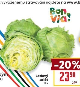 Salát ledový Billa Bonvia
