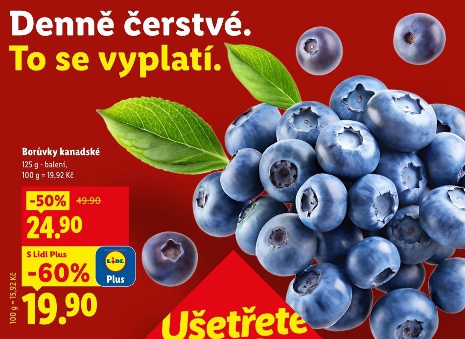 Borůvky