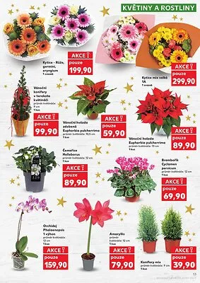 akční leták Kaufland 19.11.2025-25.11.2025