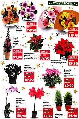 akční leták Kaufland 19.11.2025-25.11.2025