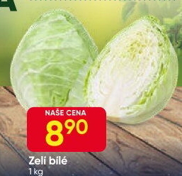 Zelí hlávkové bílé