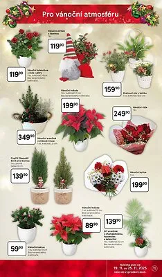 akční leták Tesco 19.11.2025-25.11.2025