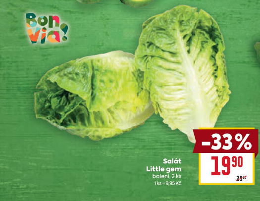 Salát little gem Billa Bonvia