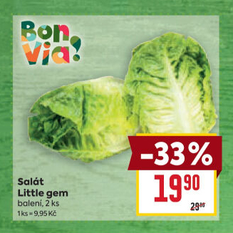 Salát little gem Billa Bonvia