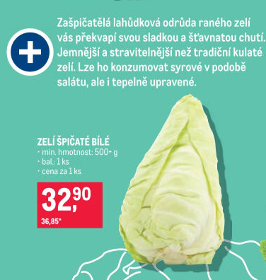 Zelí špičaté bílé