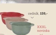 CEDNÍK
