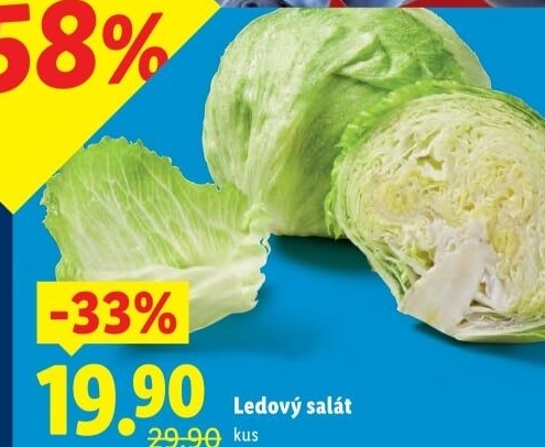 Salát ledový