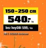Jedle Nordmannakce řezaná