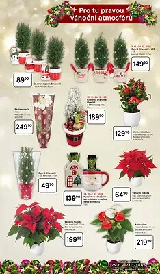 akční leták Tesco 25.11.2025-24.12.2025