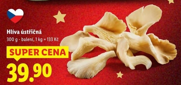 Hlíva ústřičná