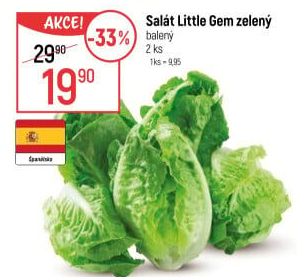 Salát little gem
