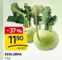 Kedlubna bílá