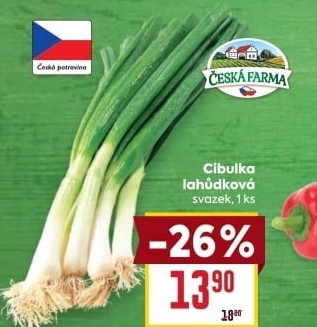 Jarní cibule svazek Česká farma