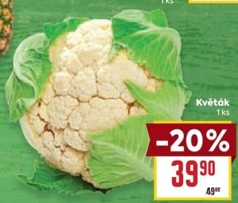 Květák