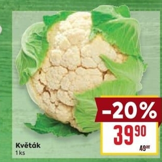 Květák