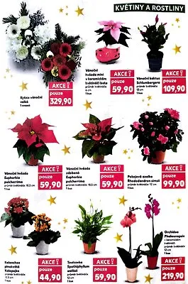 akční leták Kaufland 17.12.2025-24.12.2025