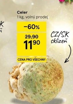 Celer bulva