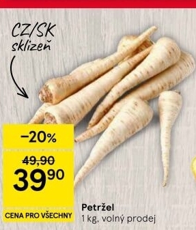 Petržel