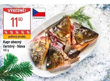 Kapr hlava