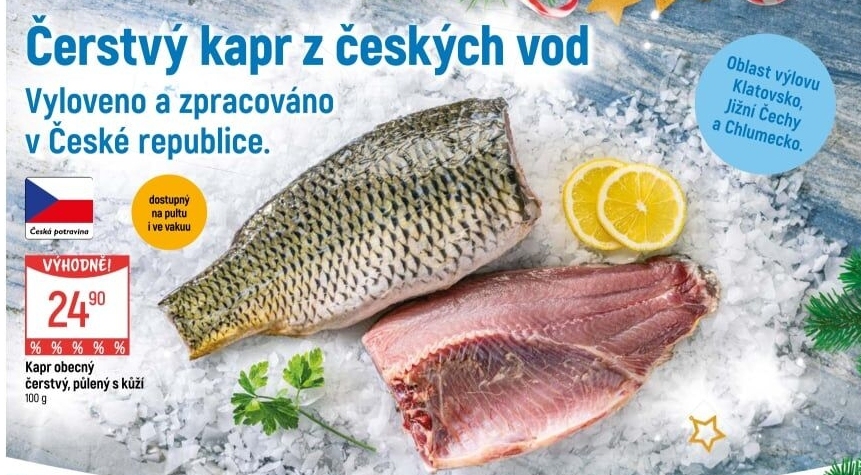 Kapr obecný