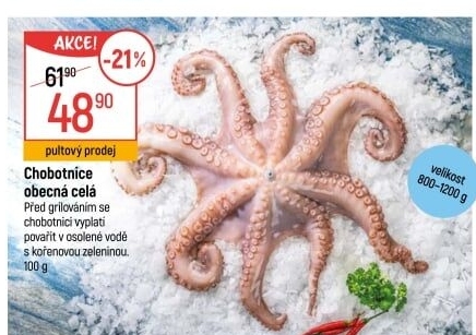 Chobotnice obecná