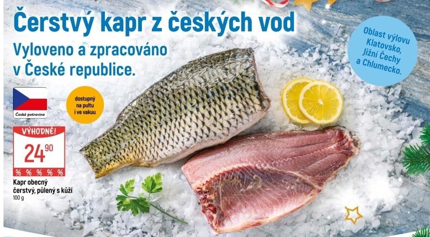 Kapr obecný