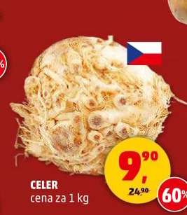 Celer bulva