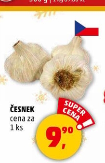 Česnek