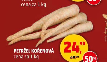 Petržel
