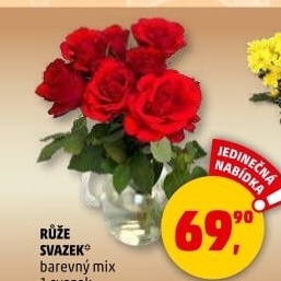 Řezané růže