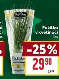 Bylinky v květináči