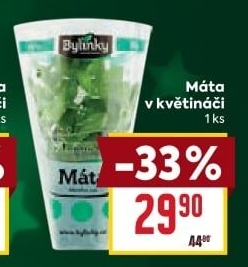 Bylinky v květináči