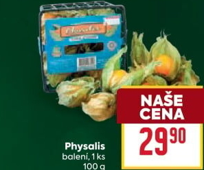 Physalis - Mochyně