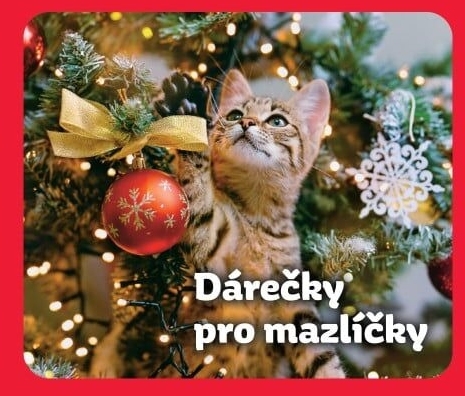 Mazlíčci